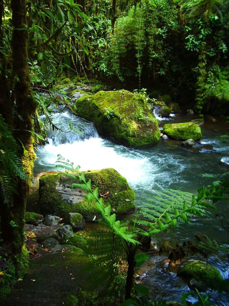 Costa Rica stream